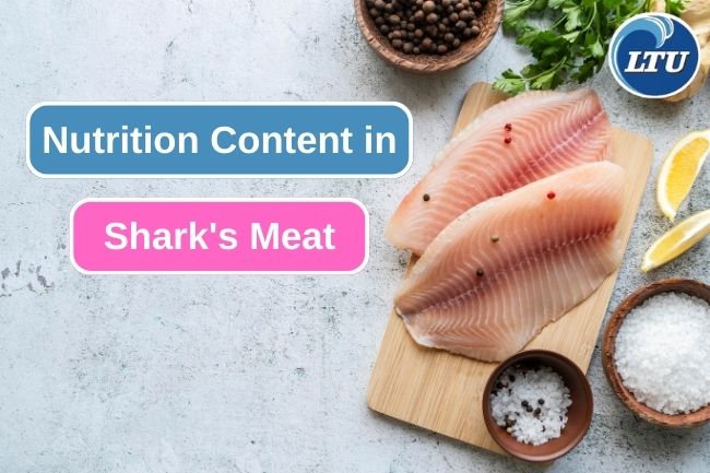 Here Are Some Essential Nutrition From Shark